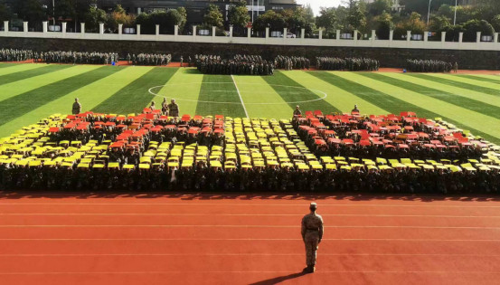 1700644971881165.jpg 1700644630311.jpg